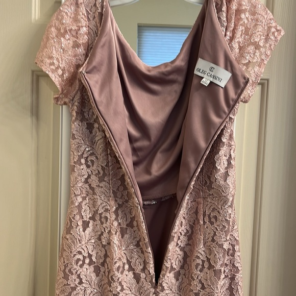Size 12 Oleg Cassini, Mother of the bride dress! Rose colored, lace - Picture 6 of 9